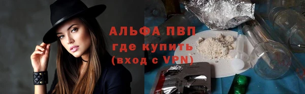 гидра Вязники
