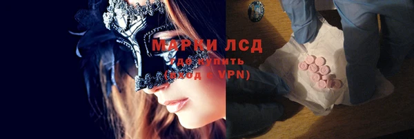 гидра Вязники