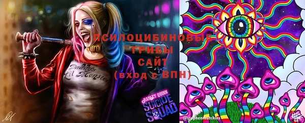 ешки Вяземский