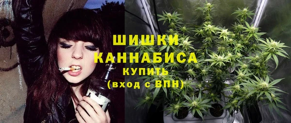 гидра Вязники