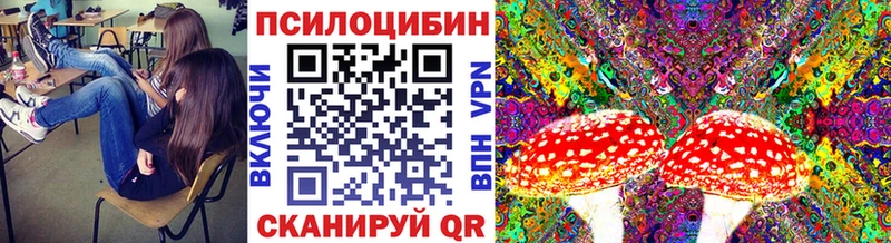 Купить где  Нестеров  Псилоцибиновые грибы ЛСД 